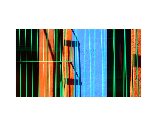 Frida Kahlo House Garden 3