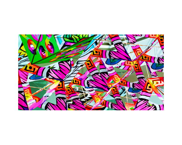 Kites 1