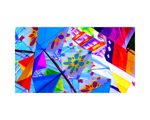 Kites 4