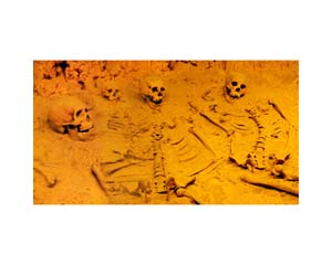 Skeletons 2
