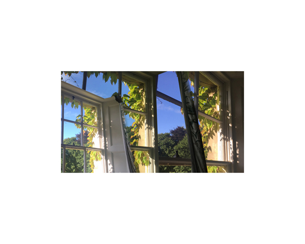 England Windows Scotland