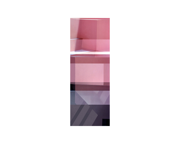 Fobney Pink 2