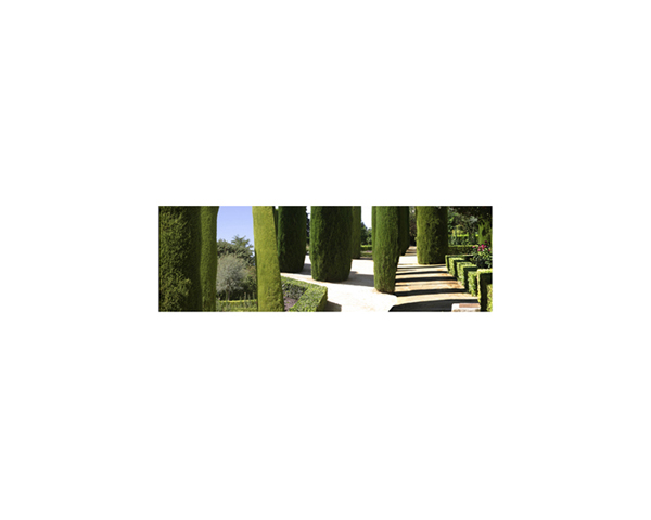 Alkazar Garden 1