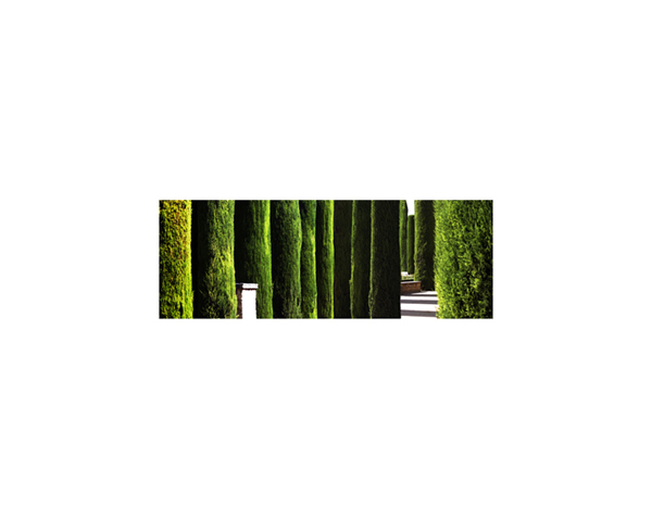 Alkazar Garden 2