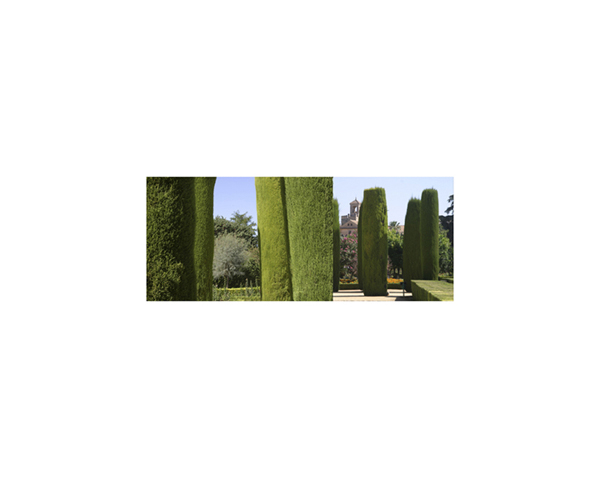 Alkazar Garden 4