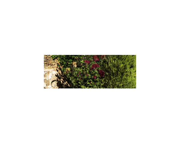 Alkazar Garden 8