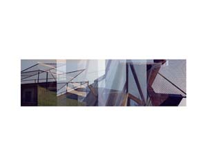 Gehry House 2