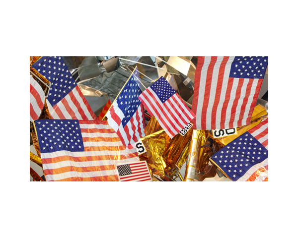 Air and Space Flags