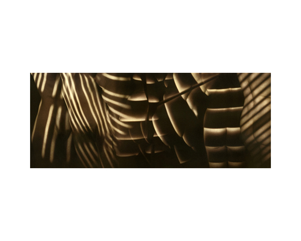 Shutters Nude