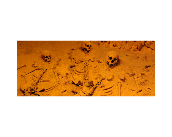 Skeletons 3