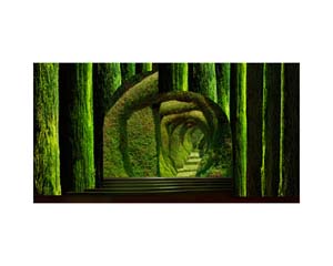 Dulce Rosa Stage Scene 13-9