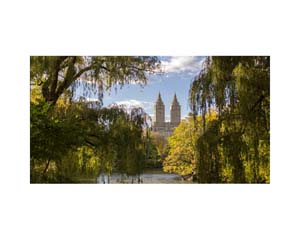 Central Park Pond