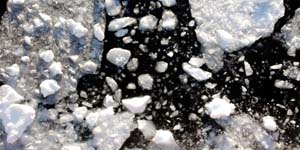 Untitled-167  PRINT final