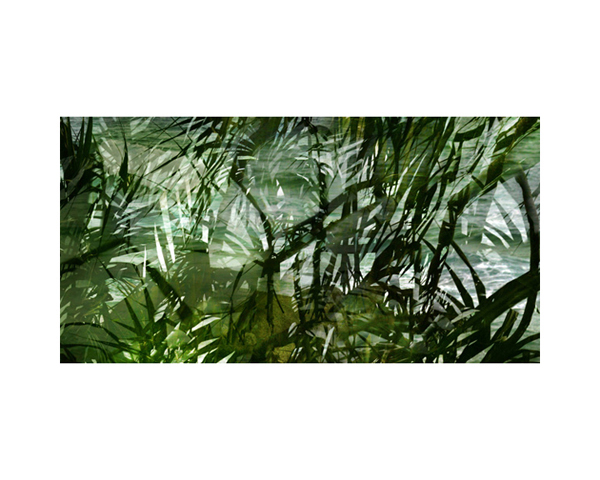 Mom Tris Palms 2 Thailand