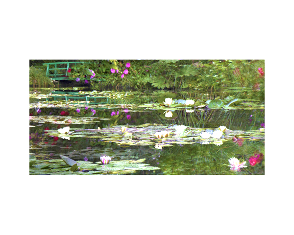 Giverney 9a France