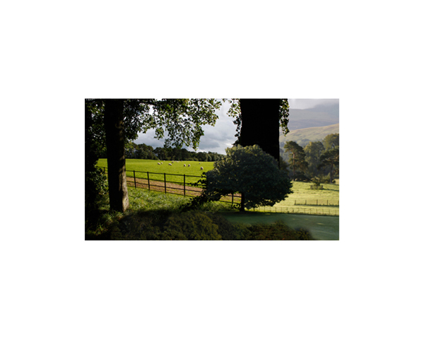 Scottish Landscape 1