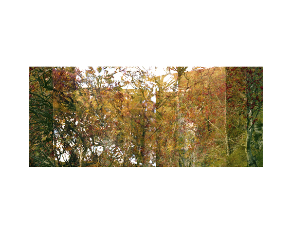 Yorkshire Fall