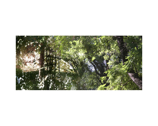 Alcazar Garden 10 Cordoba