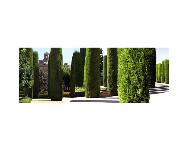 Alcazar Garden 3 Cordoba
