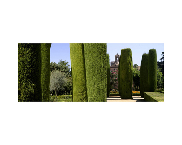 Alcazar Garden 4 Cordoba