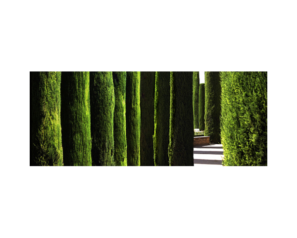 Alcazar Garden Cordob 3