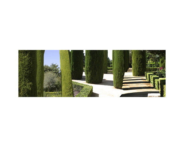 Alcazar Garden Cordoba 1