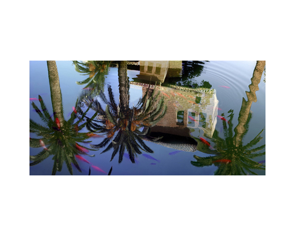 Alhambra Reflections