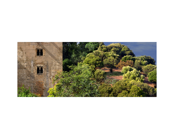 Spain Landscape 1ab