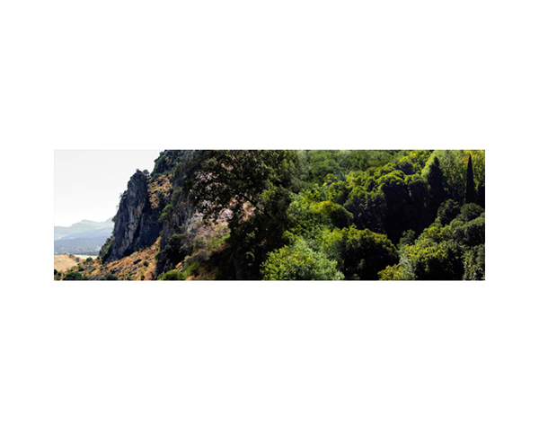 Spain Landscape 1e