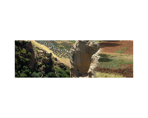 Spain Landscape 2