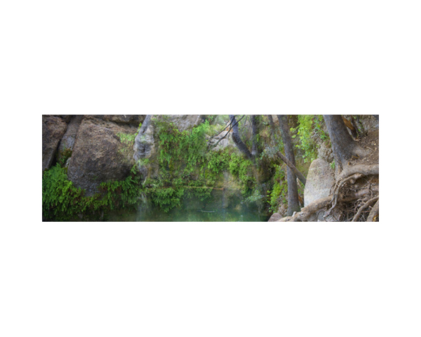 Red Rocks Oasis Nevada