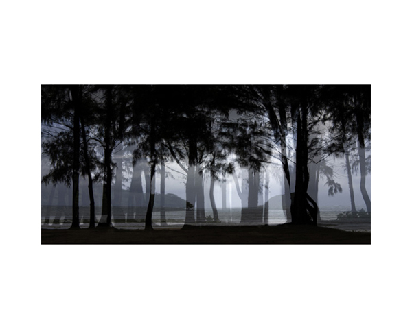 Tree Cove