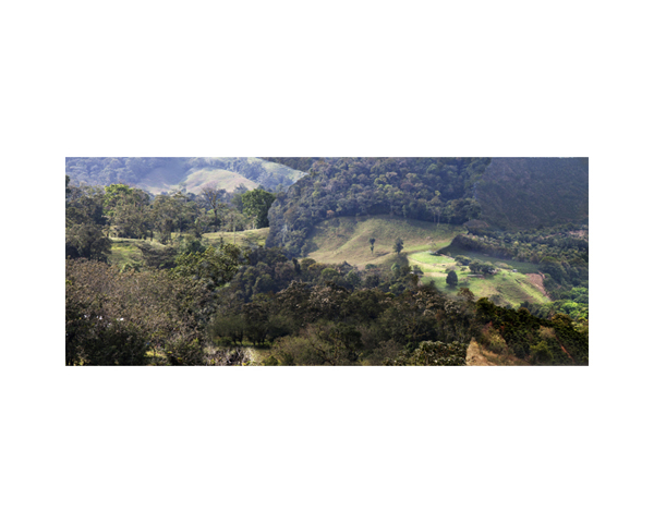 Fields and Clouds 3c CR