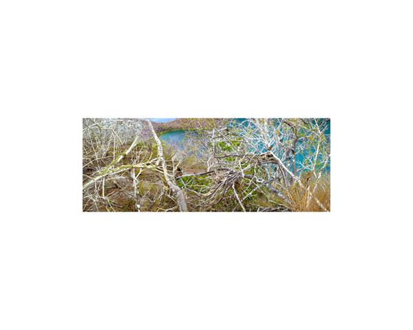 Galapagos Hill Walk