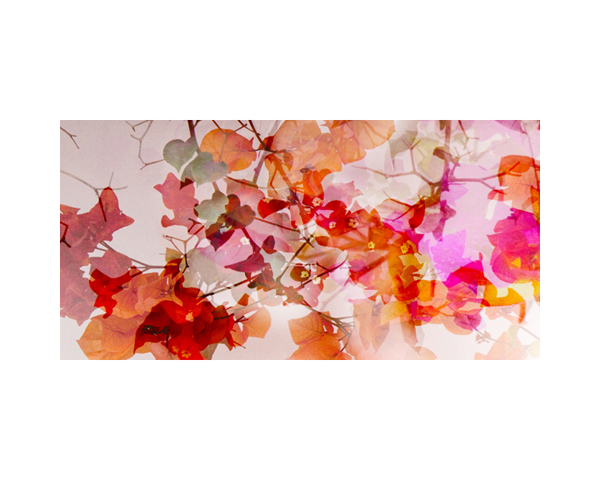 White Wall & Flowers 3 CR