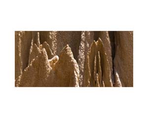 Nepal Termite Hills 1