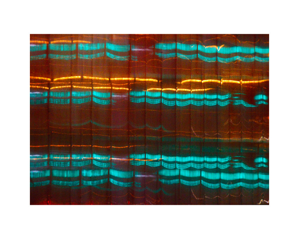 Streaky Lights