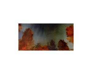 Sweden Northern Lights 1