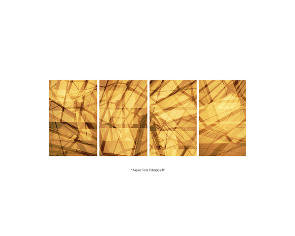Aspen Tent Tetraptych