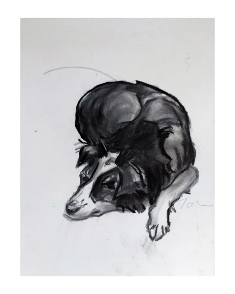 Animal-Strumble 1