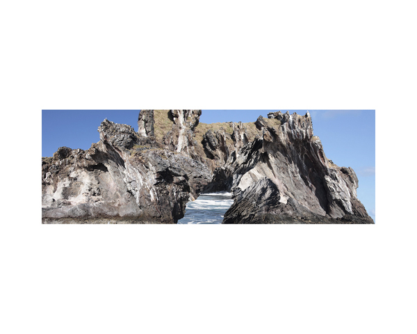 Bird Island 3